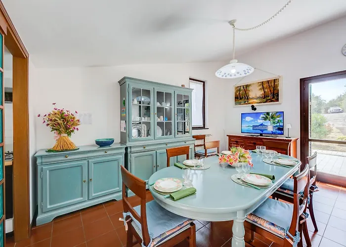 Sb - Breezy Way - Among Greenery - Happy *