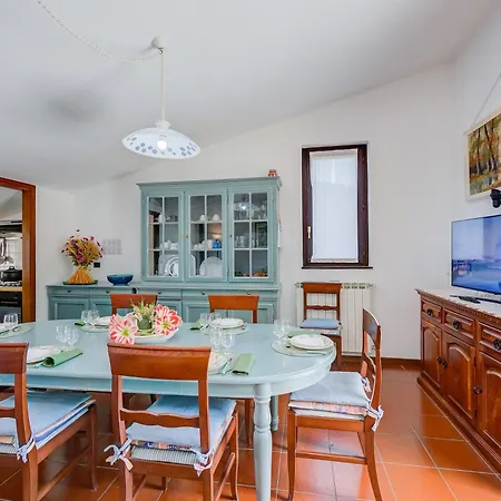 Breezy Way - Among Greenery - Happy