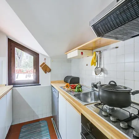 Breezy Way - Among Greenery - Happy * サン・バルトロメーオ・アル・マーレ